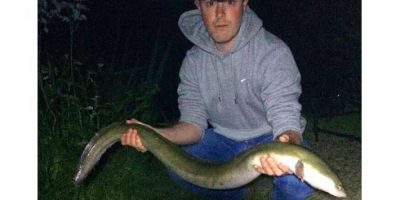 huge eel from white acres.jpg